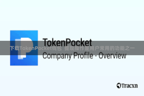 下载TokenPocket钱包  提现操作是用户常用的功能之一